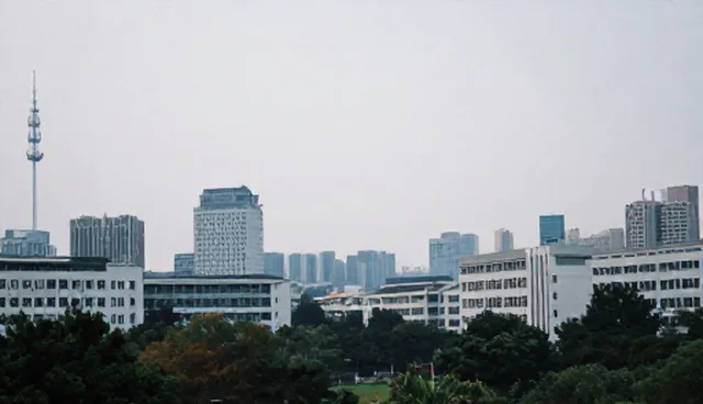 技术外包选型中的常见管理误区